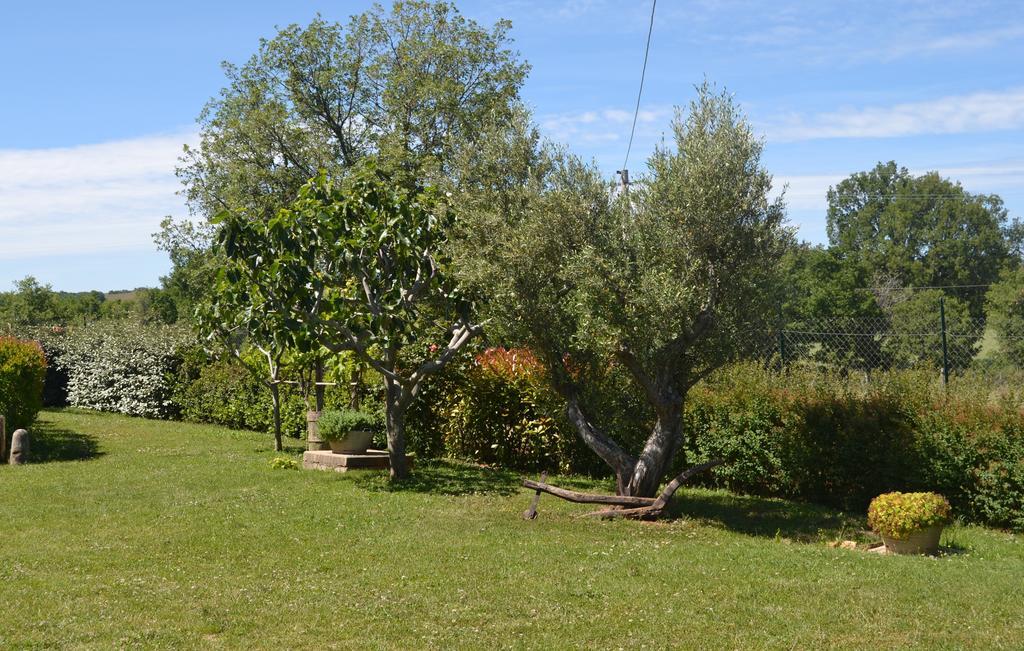 Hotel Al Bosco Delle Api Gallicchio Zewnętrze zdjęcie