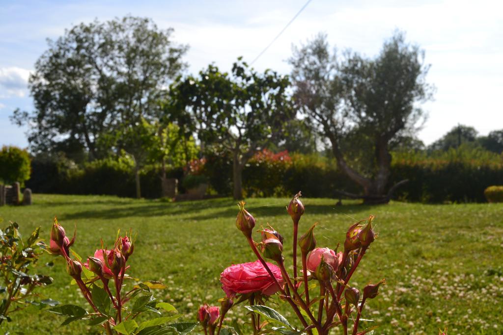 Hotel Al Bosco Delle Api Gallicchio Zewnętrze zdjęcie